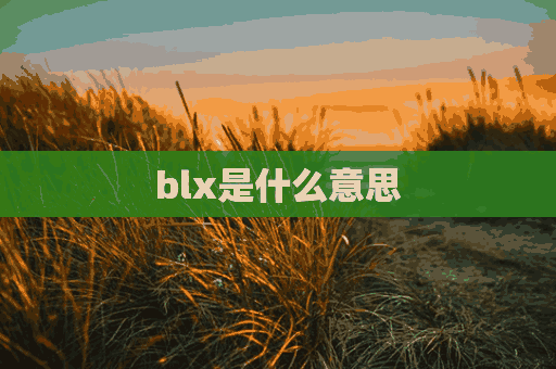 blx是什么意思